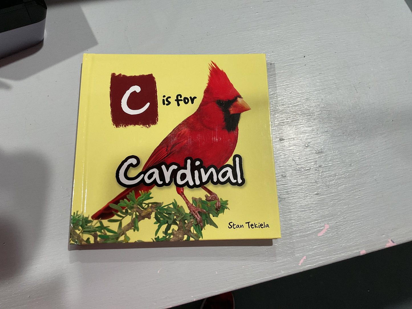 C is for cardinal book